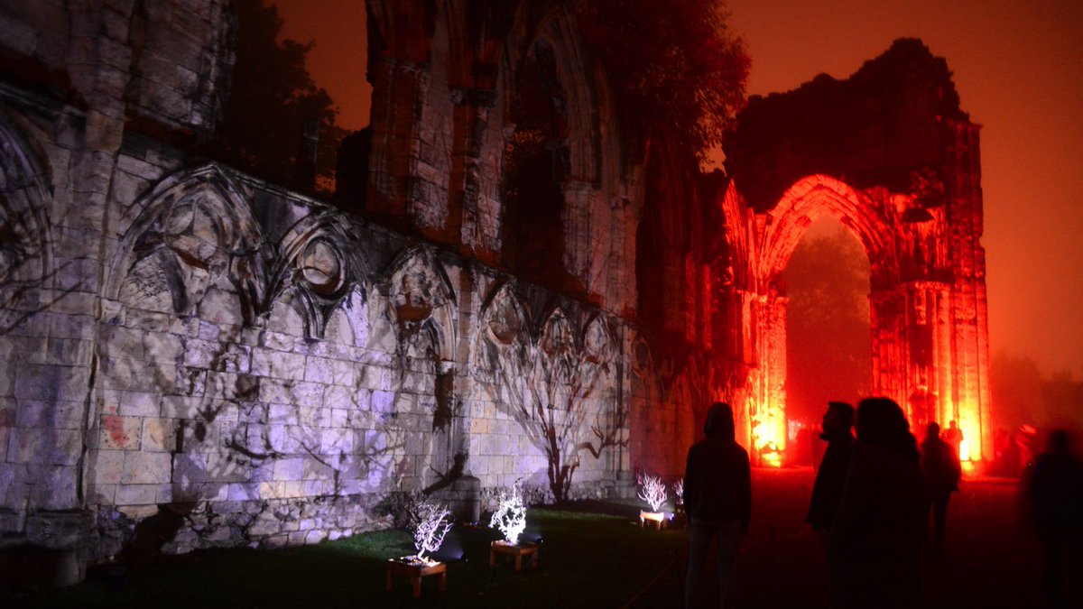 bellevuestudio's tweet photo. watching the trees, Illuminati Botanica, @IlluminateYork #IY2015 Museum Gardens #York https://t.co/vgS0Q7rGxc