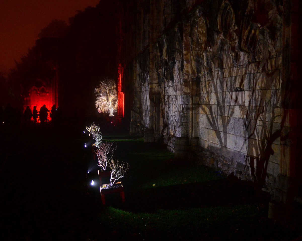 bellevuestudio's tweet photo. trees and people, Illuminati Botanica, @IlluminateYork #IY2015 Museum Gardens #York https://t.co/mcPNlL9Mjh