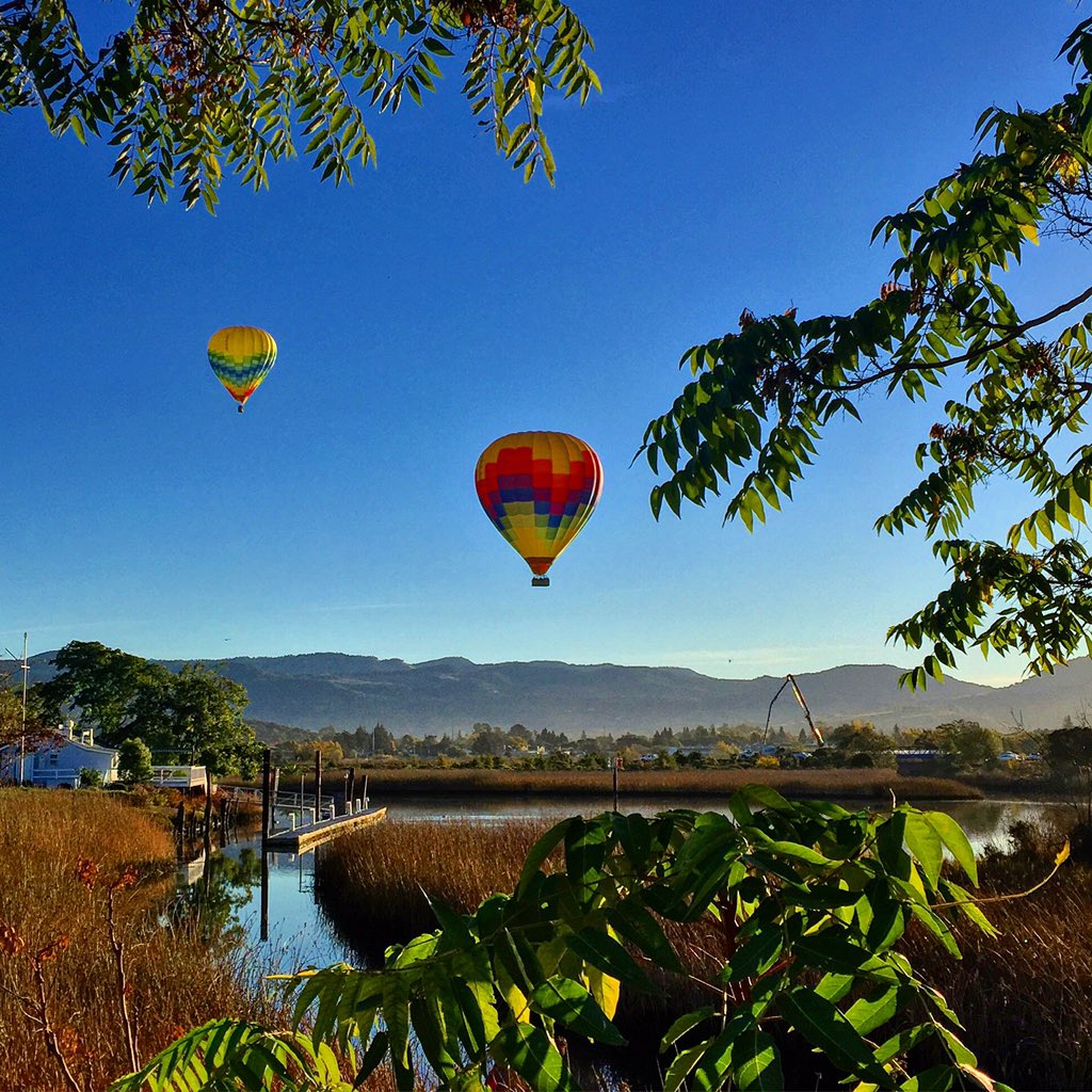 KerrinLaz's tweet photo. great morning view from our warehouse down in Napa. #napa #napariver #warehouseview #napavalley #winecountry https://t.co/lra65B5U0p