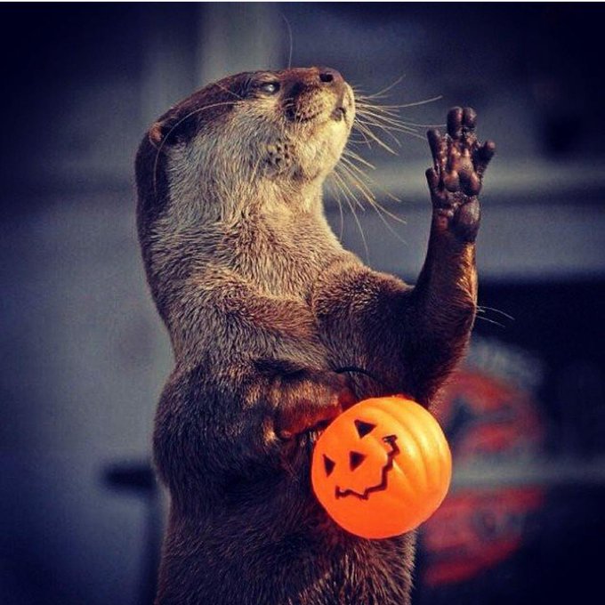 I'm ready. https://t.co/jGt9ajsQKa<a href="/tag/tupacotuesday"class="tags"><span>#tupacotuesday</span></a>