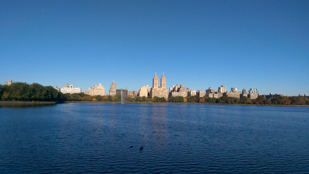 anna_ellam's tweet photo. Lovely morning run in #CentralPark two days before NY the marathon. #feelinglikeafraud https://t.co/DXDgUZwxY0