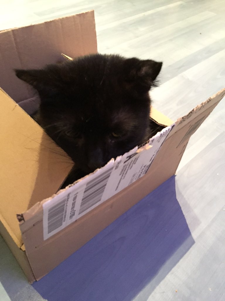 TheLemming79's tweet photo. Exklusive für Euch. #Boxcontent https://t.co/YcdEU738me