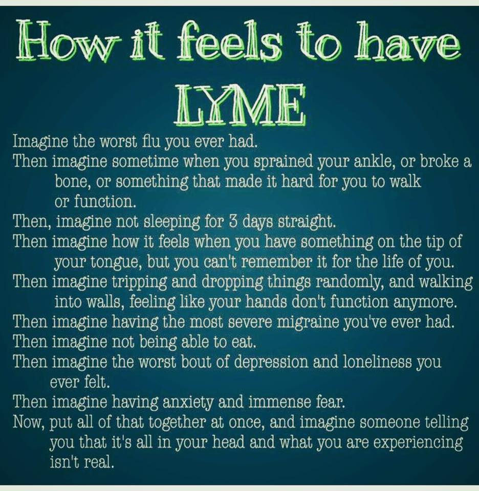 Lymenews tweet picture