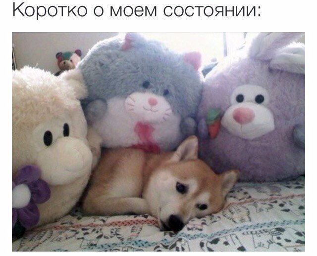 MenSearch's tweet photo. https://t.co/bELsZShtv8