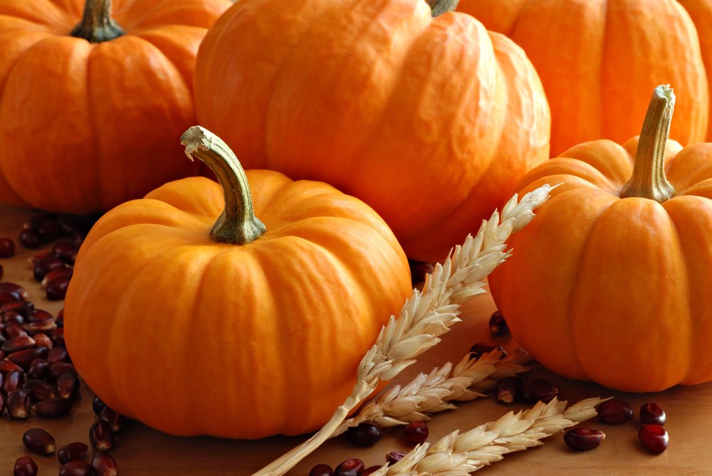 StoneDesign_Inc's tweet photo. Happy Halloween! #pumpkin #stonedesign #boo https://t.co/G5KEvYUYQW