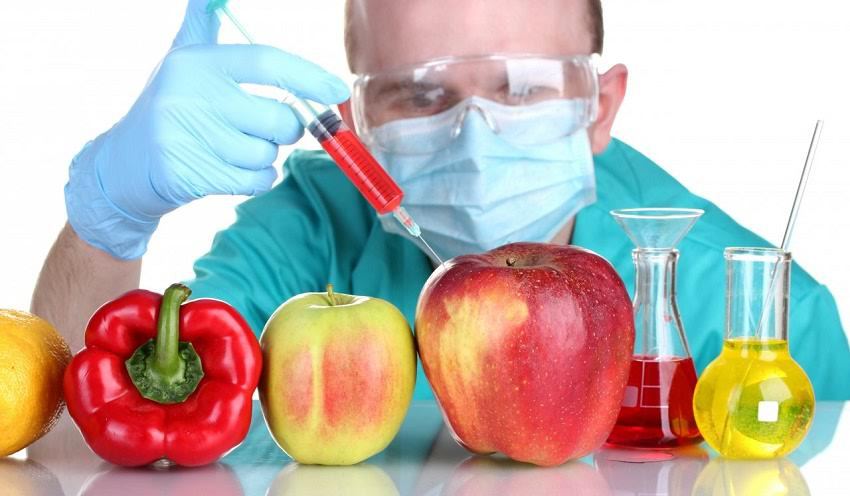 cirujano's tweet photo. Monsanto, los transgénicos y el escándalo de los investigadores https://t.co/R4Yf5Q74pw https://t.co/2fY2hfcdd7