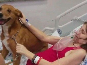 g1's tweet photo. Mulher com câncer ganha visita de cão de estimação em hospital no RS ❤🐶 https://t.co/2VajeeCfhL #G1 https://t.co/nftxfS9x7k