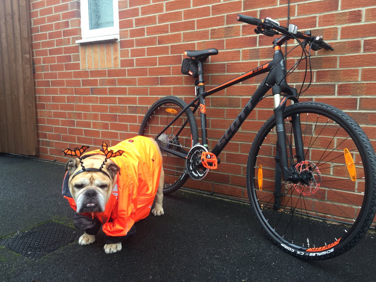 TweeksCycles's tweet photo. Our mascot #MrJangles at it again sporting an @AlturaCycling Night Vision jacket &amp; @bikeonscott hybrid. #Halloween https://t.co/pyQwsp7qvV