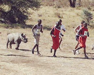 Chydee's tweet photo. It's all fun and games until angry Kenyans jog from Nairobi to Lagos and fvck somebody up 😔 #KenyansVsNigerians https://t.co/rI94jdOWql
