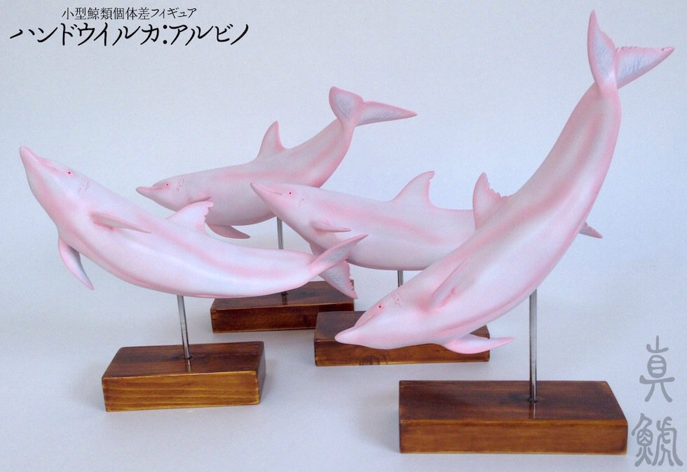真鯱 明日開催 鯨グッズ展での販売物 ハンドウイルカ アルビノ 個体差ver 全4体 ちなみに世界で飼育されたことのある アルビノハンドウは3頭だそうです そのうちの1頭は現在日本で飼育中 T Co Nee7qciyom 真鯱 明日開催 鯨グッズ展での販売物 ハンドウイルカ アルビノ 個体差ver 全4体 ちなみに世界で飼育されたことのある アルビノハンドウは3頭だそうです そのうちの1頭は現在日本で飼育中 T Co Nee7qciyom