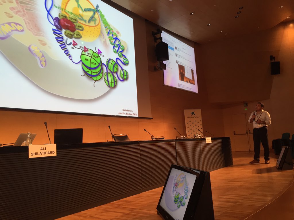 ludicroce's tweet photo. Last talk for our meeting is delivered by Ali Shilatifard on Epigenetics, MLL and leukemia. #BCEC2015 https://t.co/ZVqNV0qnOY