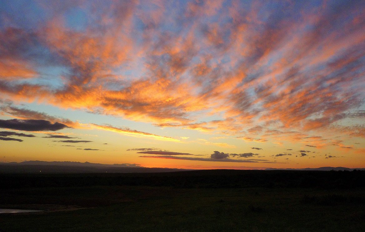 FirecloudAdvent's tweet image. #SafariHumor 7 Types of people that should never go on safari. #LoveAfrica #AfricanSafari. ow.ly/U2iB6