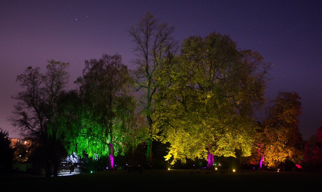 muffled1's tweet photo. Some majestic trees here in York captured by Giles...
@Gileswbennett @EasterbyJony @esthertew @IlluminateYork https://t.co/7ZbIddc9Ks