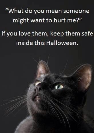 salemsatterley's tweet image. @themayhew @SantasCat @DailyMailUK please could you RT please. sicko,s about on Samhain. Keep all cats safe .