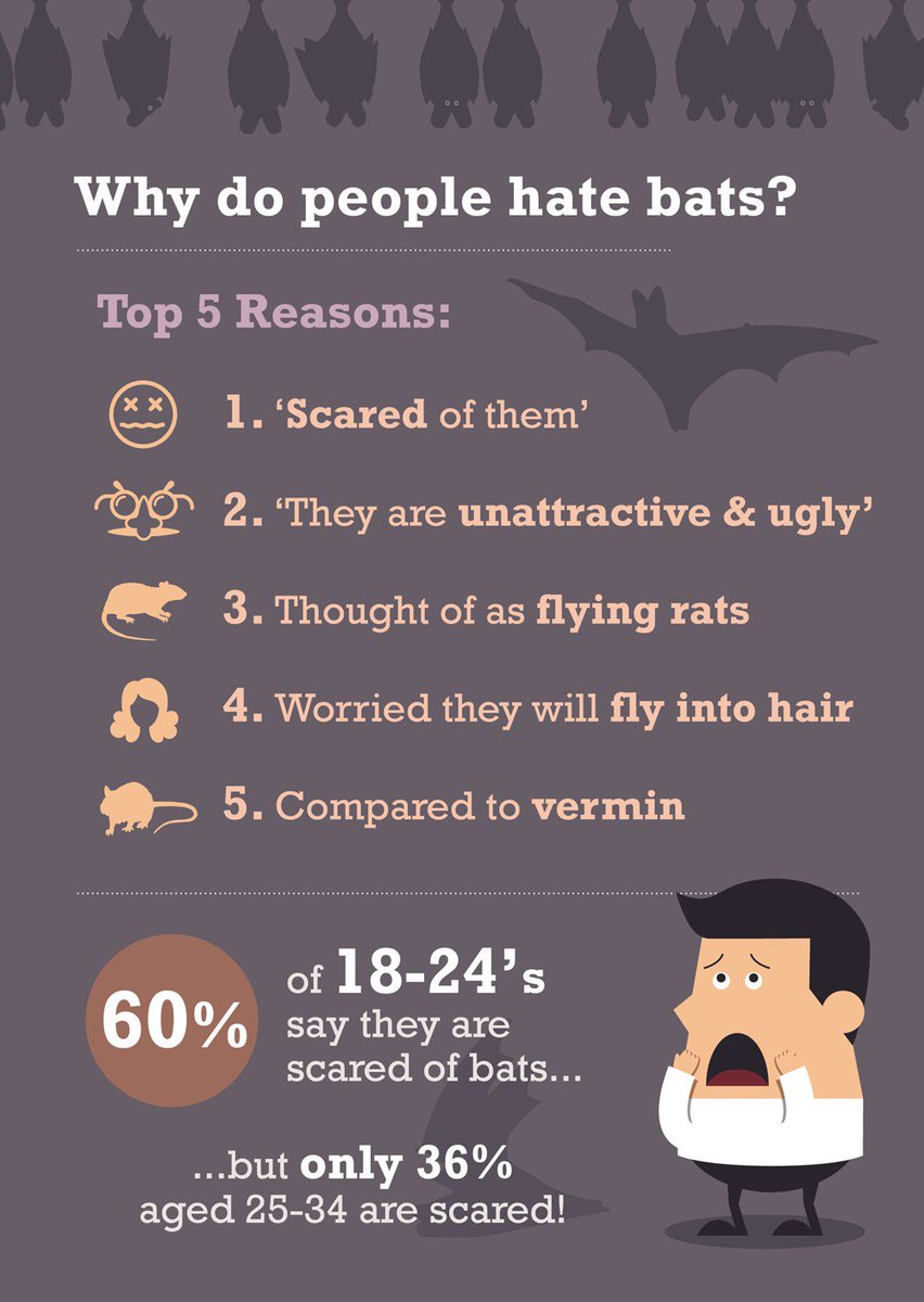 batstats