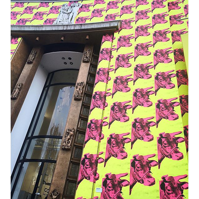 medialightprod's tweet photo. "Warhol Unlimited" une exposition à ne surtout pas manquer au @MAM. Ici, the Cow Wallpaper. #Popart #Paris #Expo https://t.co/JOD0imq1fm