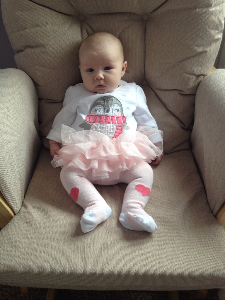elissabooth's tweet photo. @JohnnyTheKelly @mandaclar #penguinprincess https://t.co/zlNUj6Eg6m