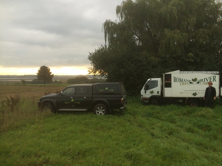 Romanrivertrees's tweet image. Willow tree felling from Roman River Tree Care #Hemley #Suffolk #treesurgery #arboriculture romanrivertrees.co.uk/news/2015-10-1…