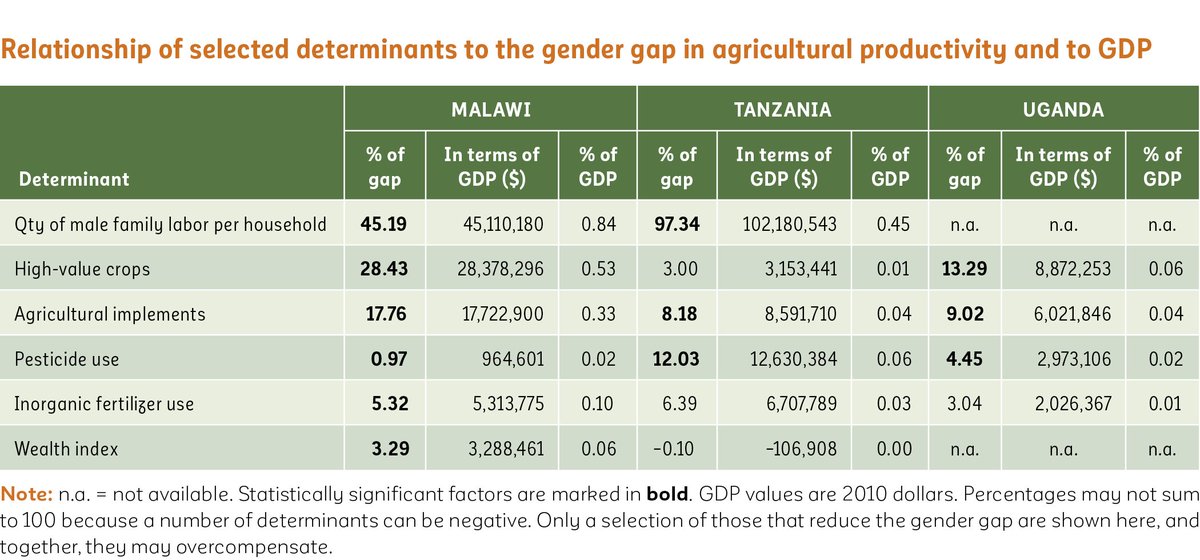 unwomenafrica's tweet photo. Governments need to prioritize policies that impact gender gap in agricultural yields.  https://t.co/OxPqS9Nvx3 https://t.co/mBvUzg6BEq