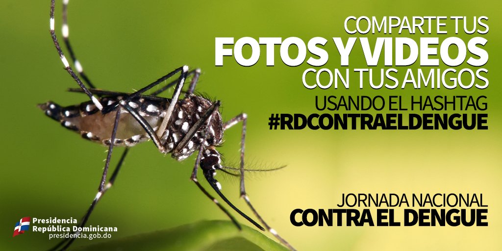 GobiernoDanilo tweet picture