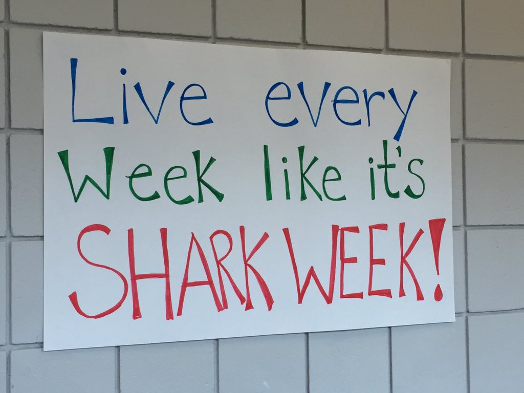 kwinsper's tweet photo. C-Wing representing #sharkweek2015 @MBridgesNMS @NortonMiddle https://t.co/LREp4xDkO3