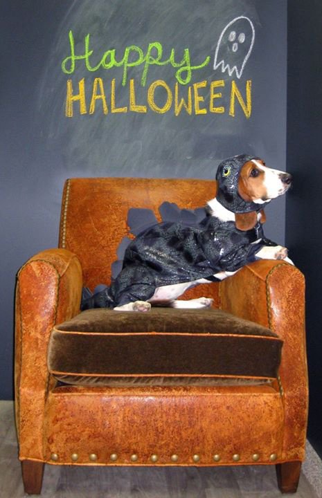 hushspain's tweet photo. feliz #halloween @LaVaguada @DiagonalMar @CCGranTuria #Castellón_centro https://t.co/Ckup2YyztJ