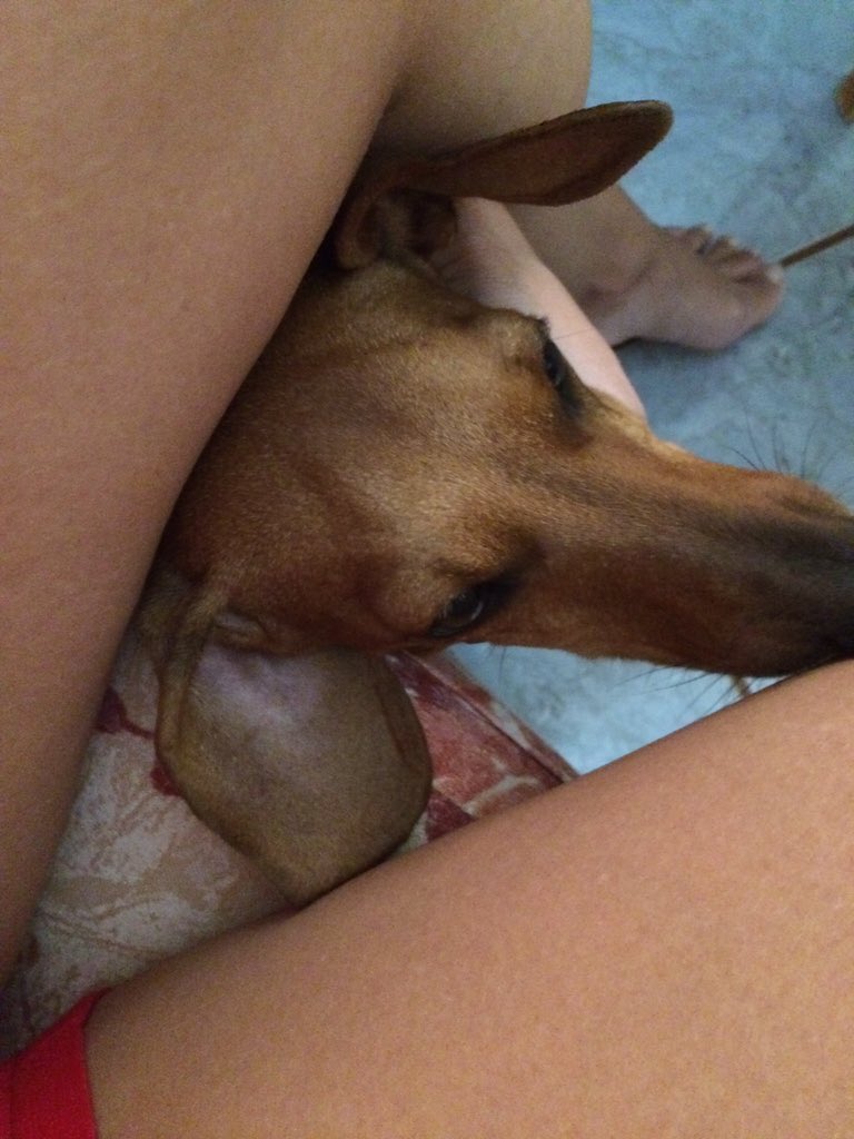 monticelli_dani's tweet photo. Os animais se compadecem muito mais com o ser humano do que muito ser humano c outro. #pequenasatitudes https://t.co/UFPBnne2i1