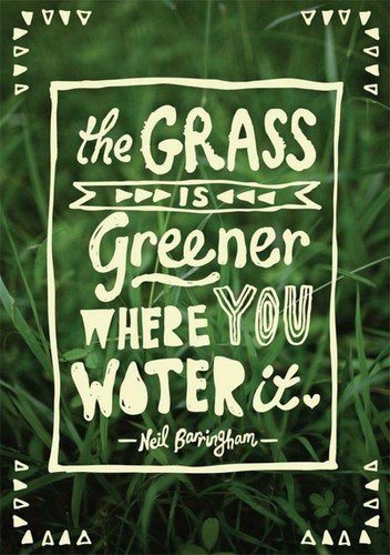 dmfnyc's tweet photo. Stop comparing.  Start nurturing. Water your passions every day. #findyourhappy https://t.co/opf5Holcx3
