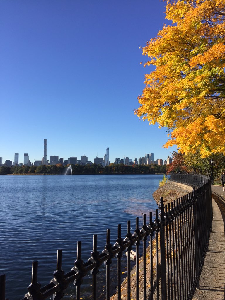 TyTeachesMath's tweet photo. Walk in The Park during a prep.  #EDU696K #winningeducation #shorts https://t.co/DNVmAGcdqM