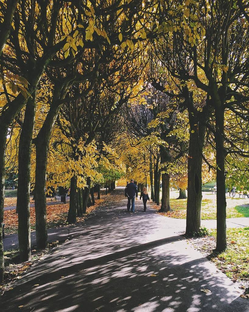 djmon1que's tweet photo. #gdansk #fiftyshades_of_nature #foto_naturel #arte_of_nature #autumndays #jp_gallery #ilov… https://t.co/PrUNU2uAc2 https://t.co/BdnvD0uzcd