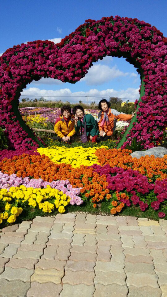 hs_senior's tweet photo. 10월30일 황송노인종합복지관에서는  예술문화학교 어르신 나들이를 충남서산으로 다녀왔습니다. 풍경좋은 해미읍성 관람과 가을국화, 그리고 다육이 심기체험까지 즐거운 나들이 모습 속으로~ https://t.co/xPSepRz65k