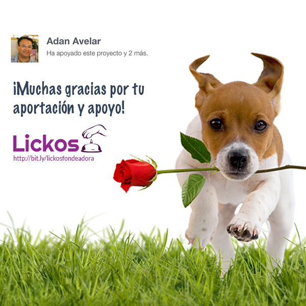 lickosmx's tweet photo. ¡Muchas gracias @adanvecindad x apoyar nuestra campaña en #fondeadora! 
Apóyanos tu también https://t.co/rzI4V6hBAt https://t.co/lu7W8BGXQb