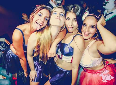 JaviFach's tweet photo. Hoy Rabbit #Halloweenfest Pedime tu Free y vip 1132572656 #Cotillon #Cumple #MesasVips https://t.co/u9pnRcSTyB