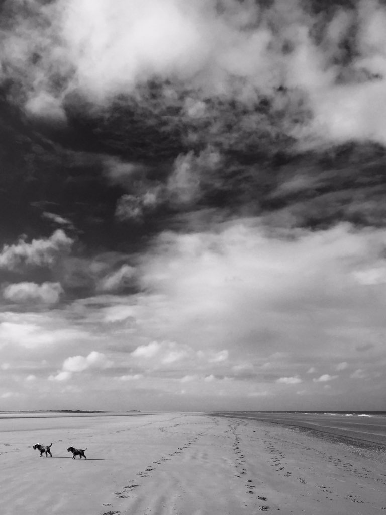 minialfiew's tweet photo. Last day of holiday. Do we have to go home? :( https://t.co/Trhnin6K3T