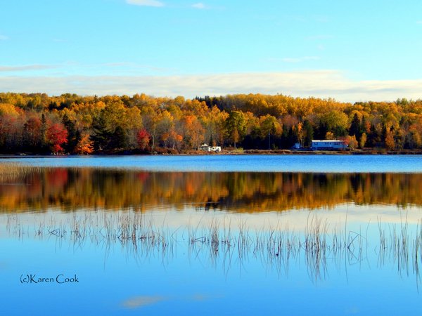 Metro_Business's tweet photo. RT @chronicleherald: IN PHOTOS: Check out all the great #FallinNS pictures we've received fr https://t.co/DzQNJ1ECyy https://t.co/GOjvwzH3o4