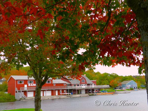 Metro_Business's tweet photo. RT @chronicleherald: IN PHOTOS: Check out all the great #FallinNS pictures we've received fr https://t.co/DzQNJ1ECyy https://t.co/GOjvwzH3o4