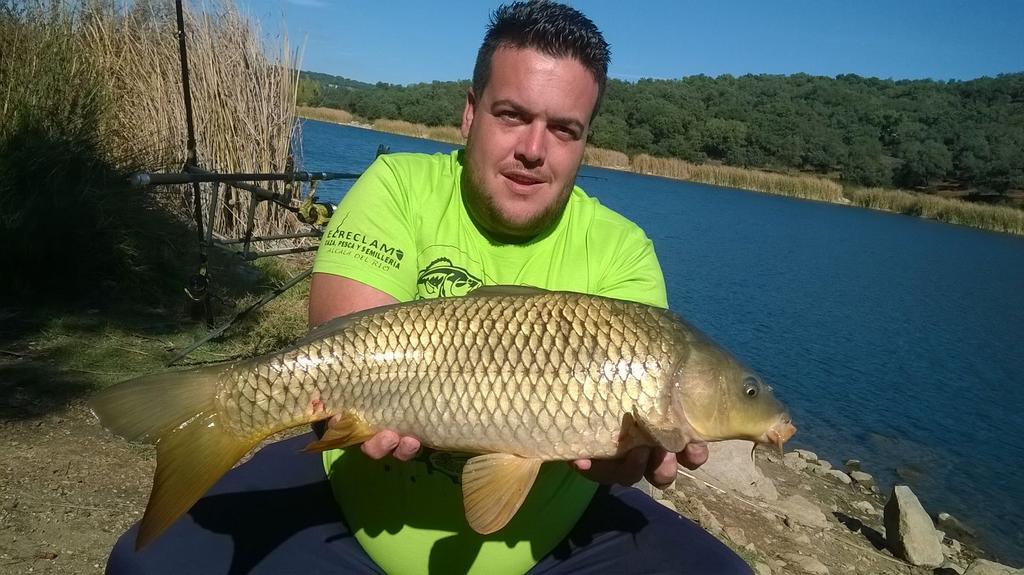 el tripode (@rafa_chery) on Twitter photo 