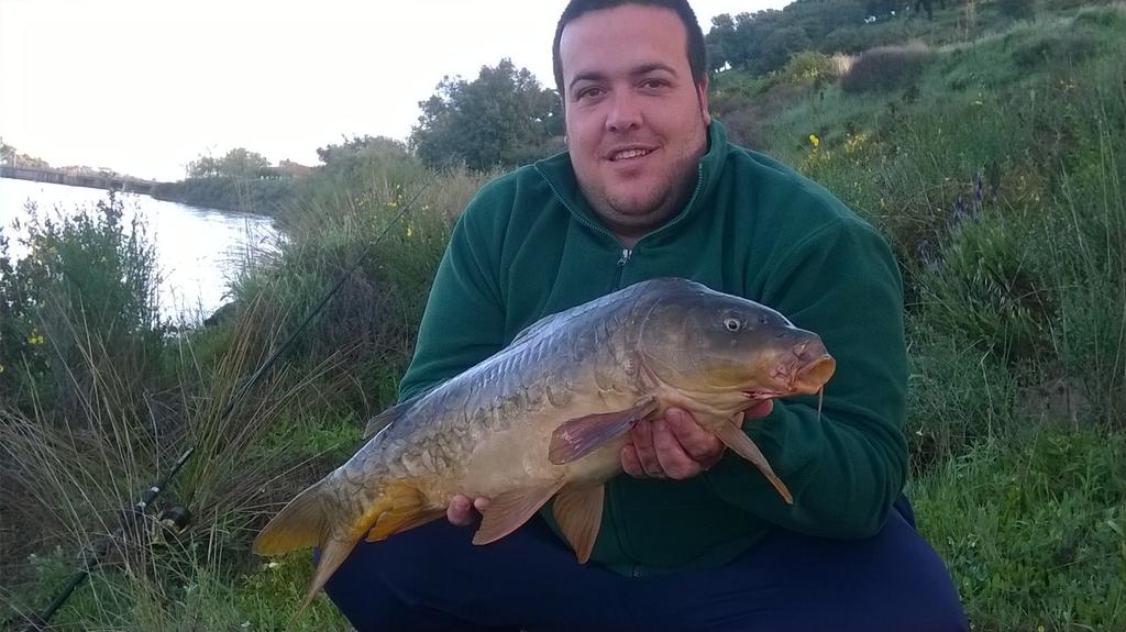 el tripode (@rafa_chery) on Twitter photo 