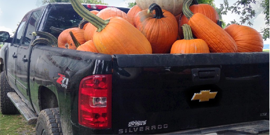 GM's tweet photo. A true harvest haul in the @Chevrolet #Silverado at @TimsPumpkPatch. Have a safe and happy Halloween! https://t.co/l1jOC3oHwl