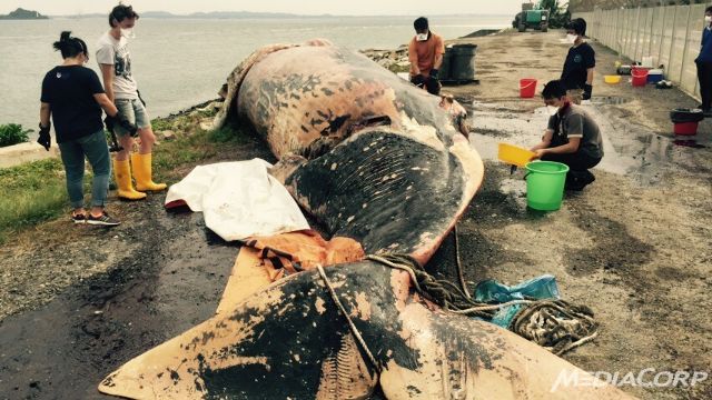 Embedded image permalink