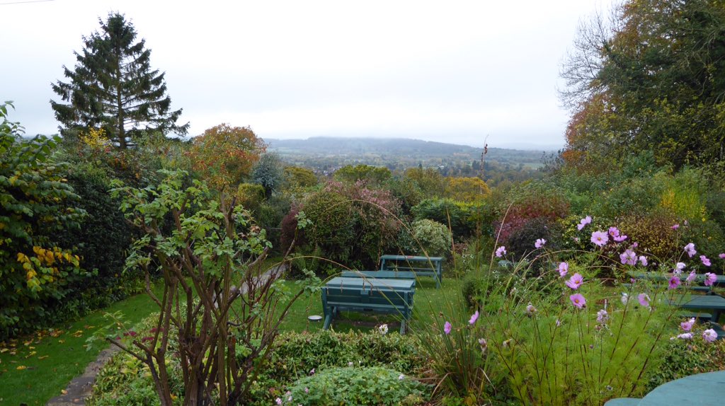 Lesley Candlin tweet media