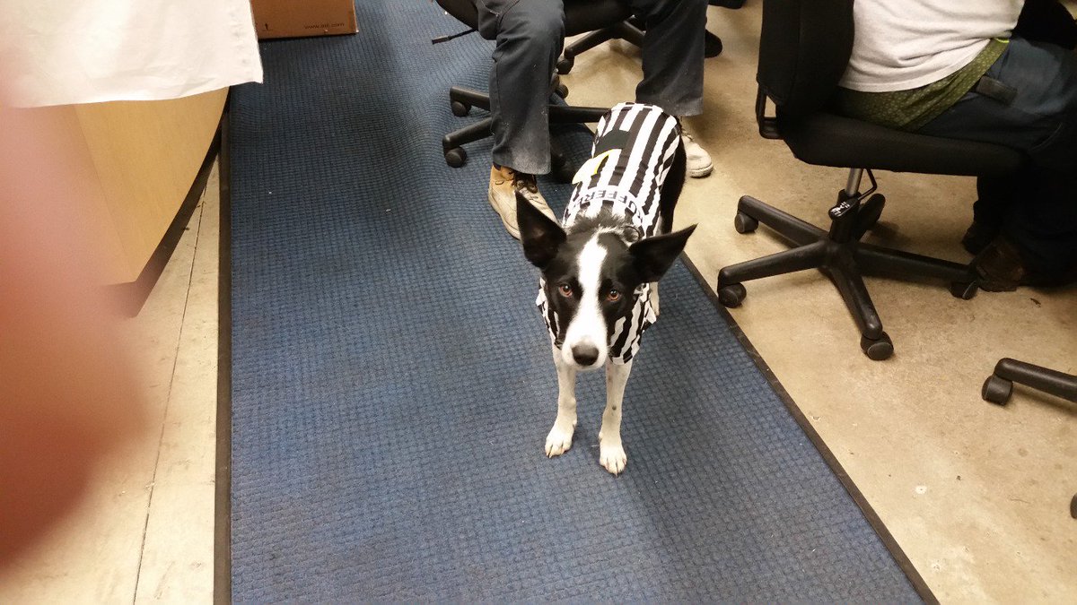 Skeets ready for tonight's  game