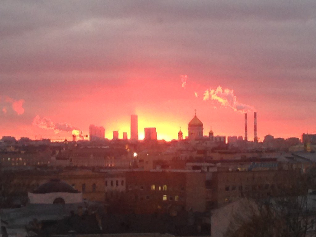 Dm Matveev tweet media