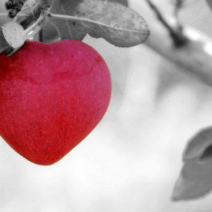 vellisimofalcon's tweet image. Frases de amor de Paulo Coelho ift.tt/1OcY6HB