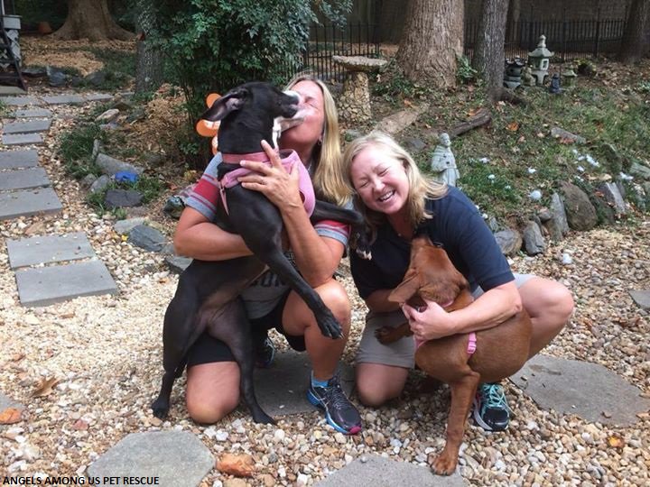 ABC's tweet photo. “Hugging dogs” saved from euthanasia are adopted by best friends: “It just fell together” https://t.co/ChC1QkkDRx https://t.co/KopqUO3BAH