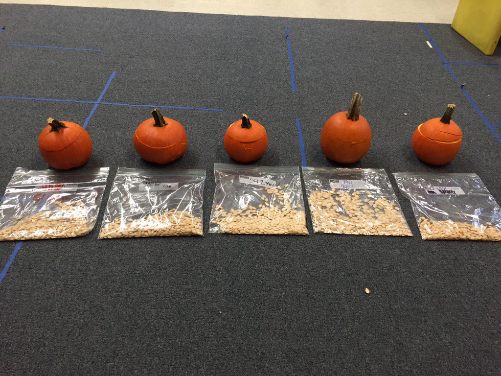How many seeds do you think were in each pumpkin?