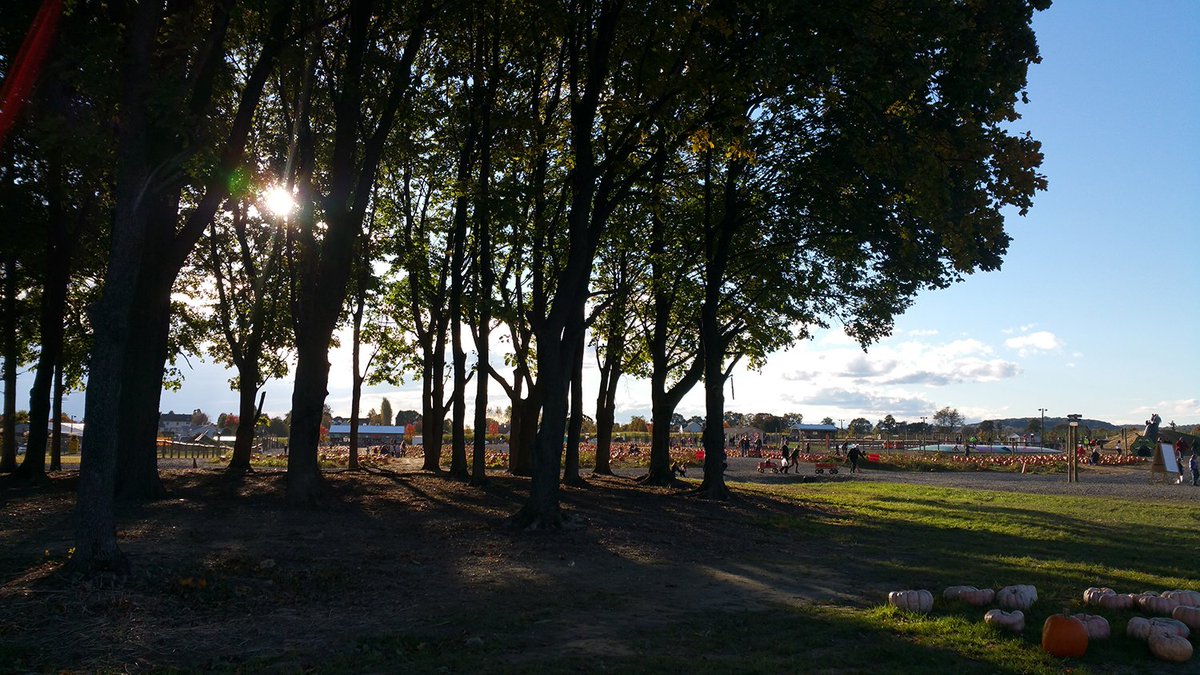 GrimsOrchard's tweet photo. Happy Halloween weekend!  Come enjoy our last Fall Festival weekend with the family! https://t.co/XNnAK0nP6c https://t.co/yM0E0tLvzV