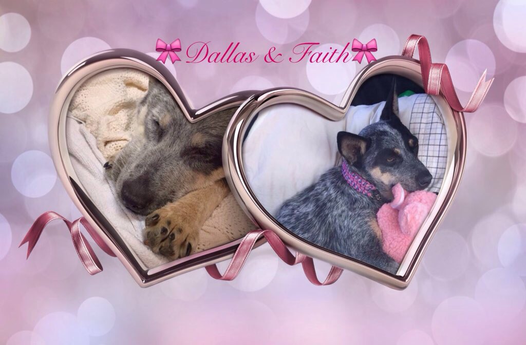 Dallas &amp; Faith 
BeautifulAngels 
You are free of pain
I'm so sorry I was to late 
Be free I'll see you again one day