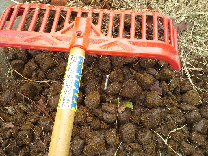 barngrl's tweet photo. #BarnGirlProblems #ItsAllFunAndGamesTillSomeOneLosesANut https://t.co/9B8RpER5bt