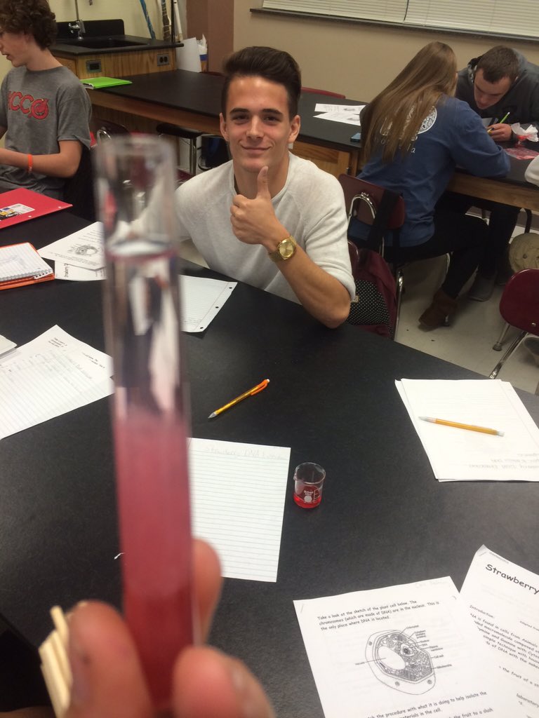 fhcwilmes's tweet photo. G2 learning about DNA while extracting it from strawberries! https://t.co/U6my6iJJp7